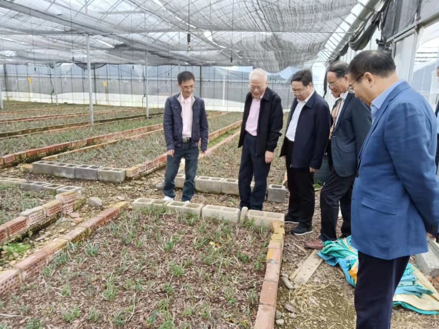 1635754922882888RXVP.jpg 1.jpg